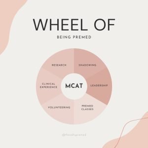 these are the premed requirements for medical school